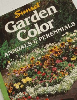 画像1: 洋書/ガーデニング  Sunset  "Garden Color ANNUALS & PERENNIALS"  By the Editors of Sunset Book and Sunset Magazine  (1989)  Seventh printing 