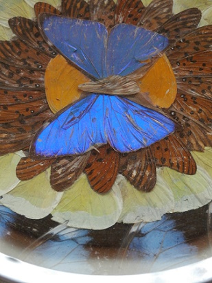 Blue Morpho Wing Plateau ブラジル製 モルフォ蝶羽細工 飾り皿 Size O19 7cm