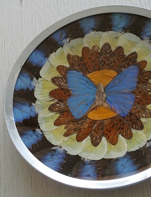 Blue Morpho Wing Plateau ブラジル製 モルフォ蝶羽細工 飾り皿 size 