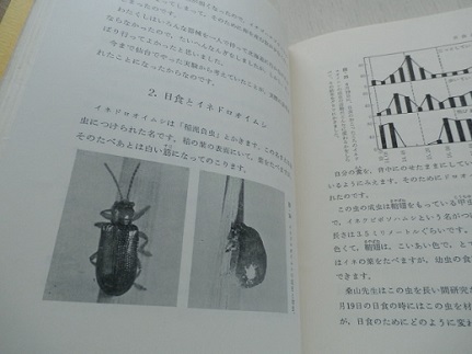 少年少女日本昆虫記 2 昆虫の一日 著者 加藤陸奥雄 牧書店