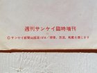 画像: ソノシート　週刊サンケイ臨時増刊　燃える男長嶋茂雄の記録　(1974) 
