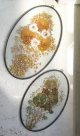 画像: ウインドー＆ウォールデコ　 Pressed Dried Flowers Glass Wall Window Decor 　 プレスドライフラワー　2pcセット　