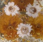 画像: ウインドー＆ウォールデコ　Pressed Dried Flowers Glass Wall Window Decor 　プレスドライフラワー　2pcセット　